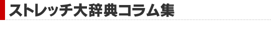 ストレッチ大辞典コラム集